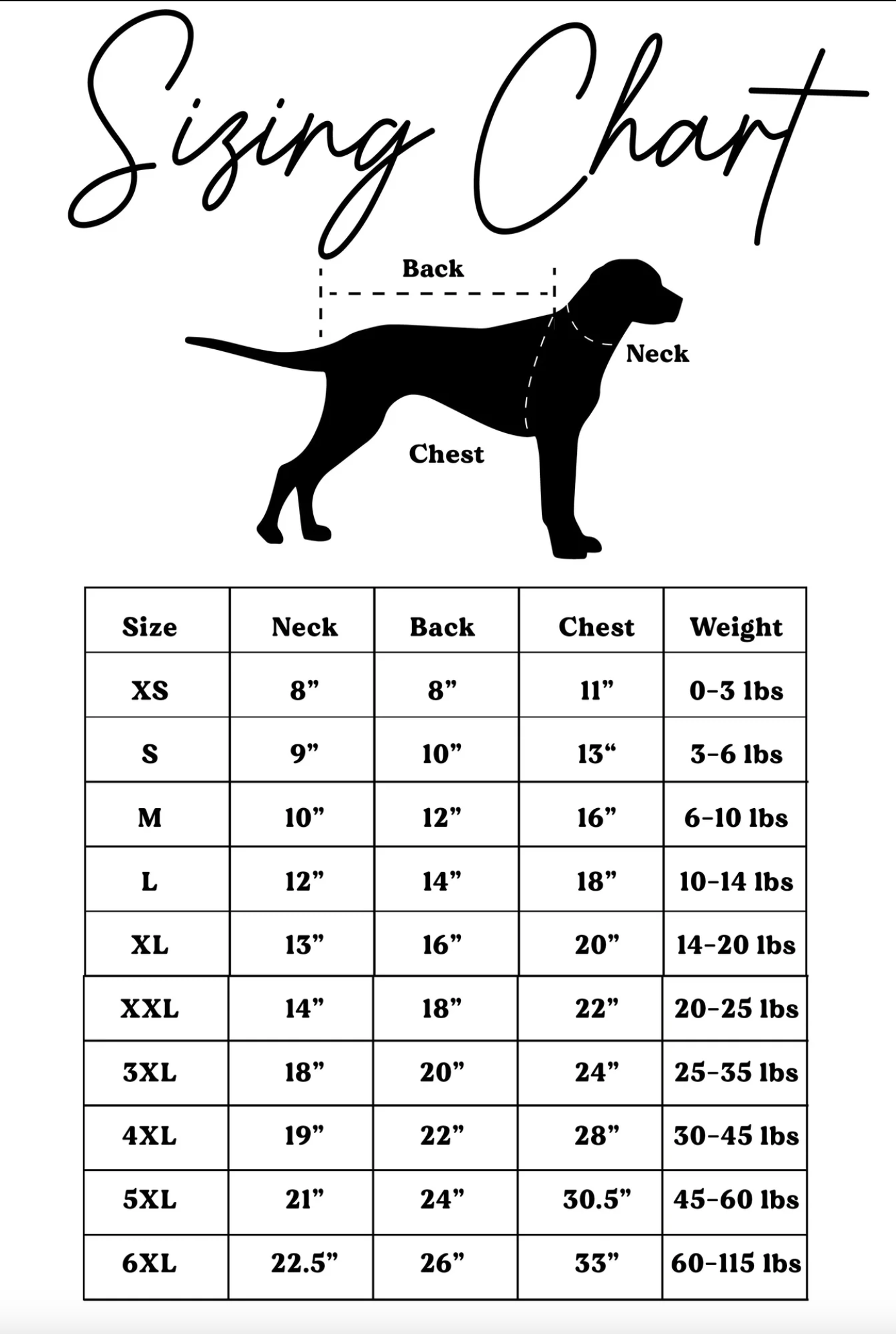 Drinking Buddy Dog Tee | Soft Cotton Blend | Made in USA | Funny Pet Outfit