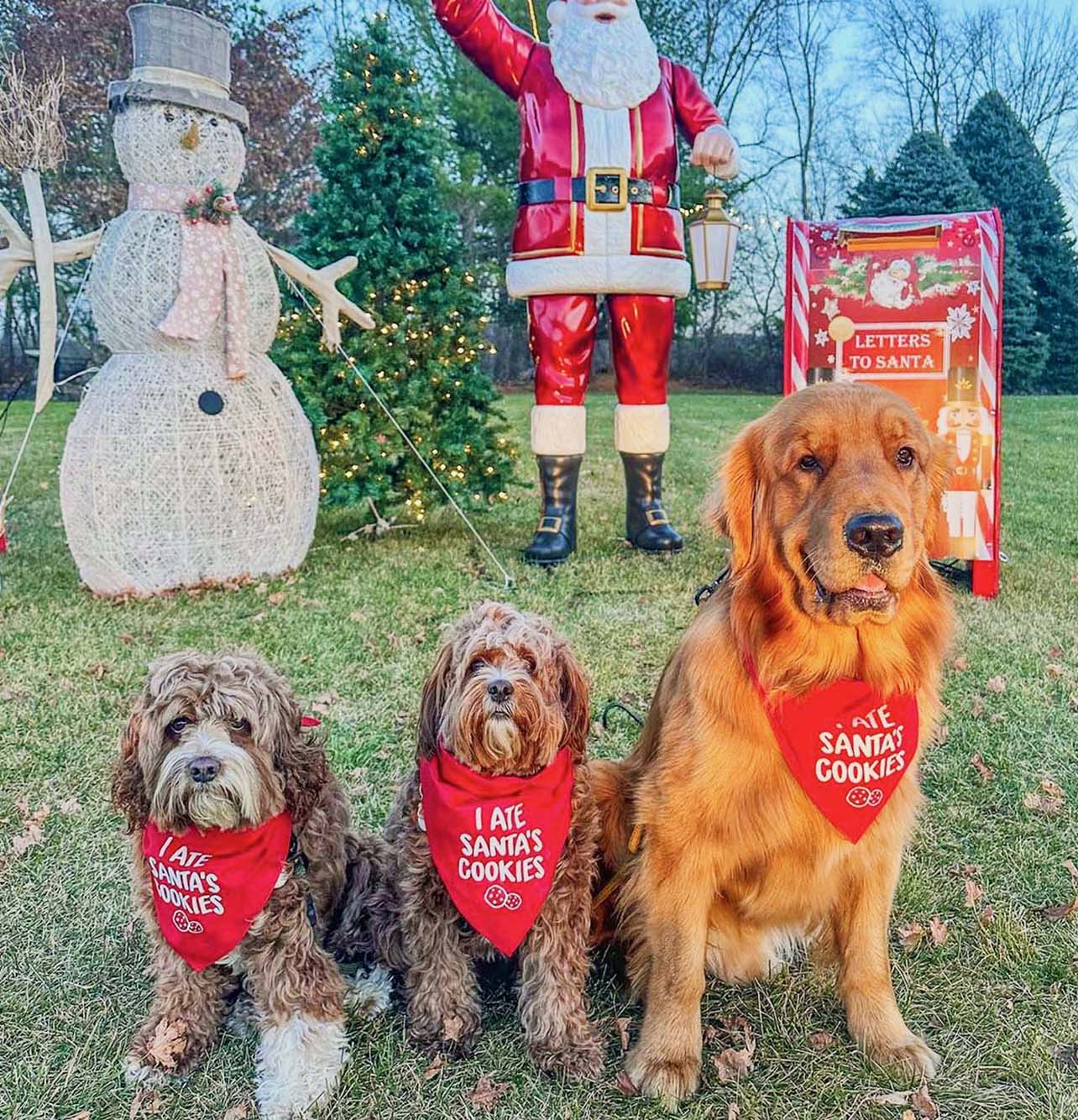I Ate Santa's Cookies Funny Christmas Dog Bandana