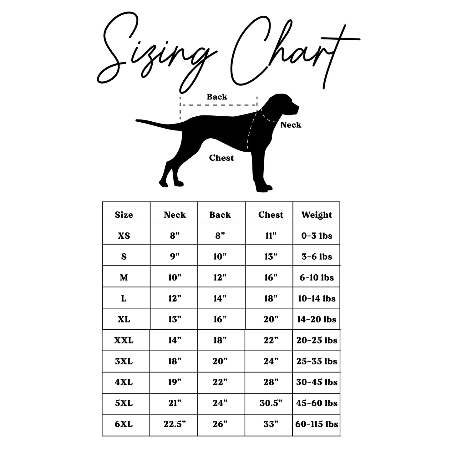 Pirate Energy Dog Tee | Boy Dog Shirt