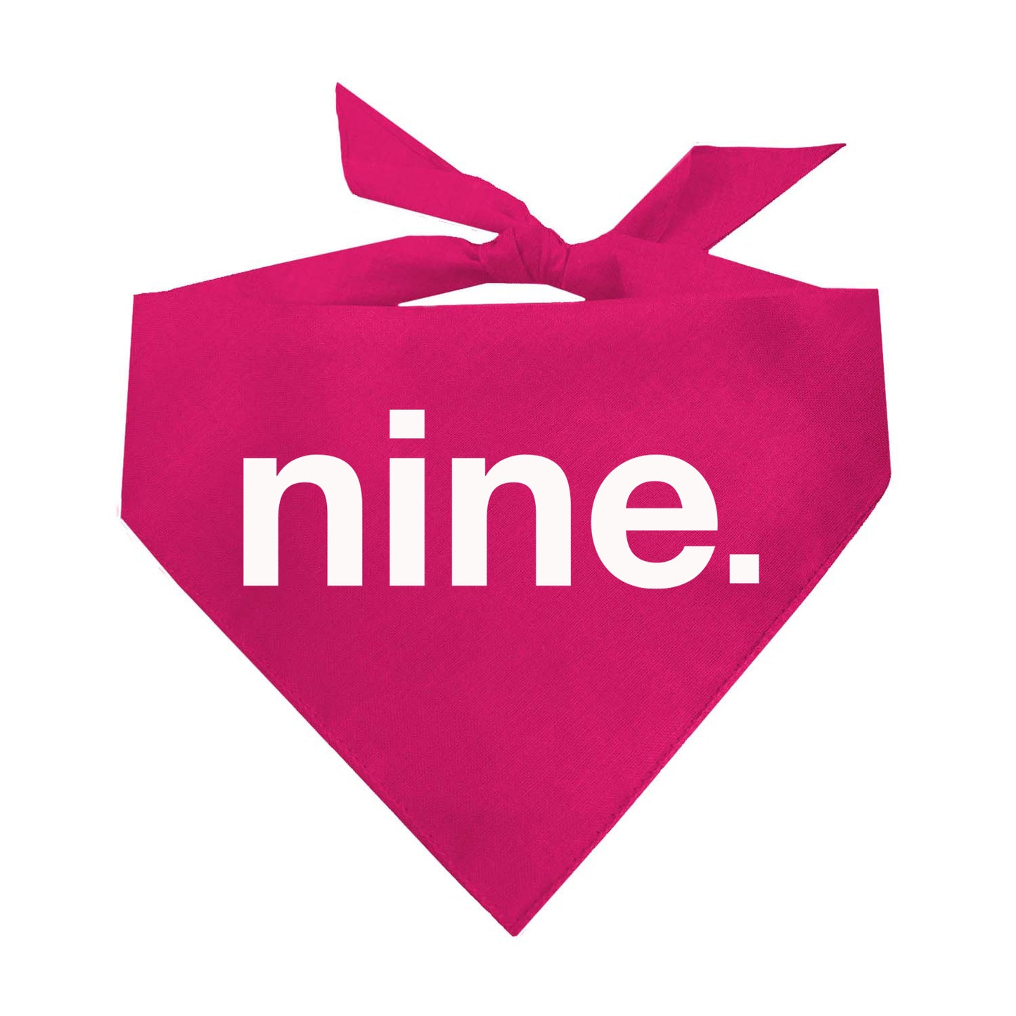 Nine Triangle Dog Bandana