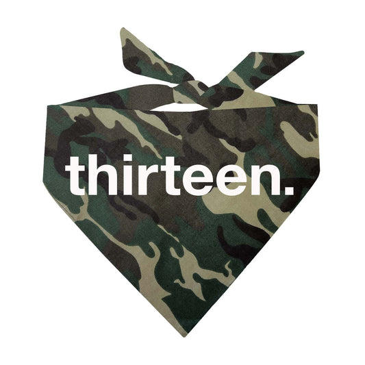 Thirteen Triangle Dog Bandana