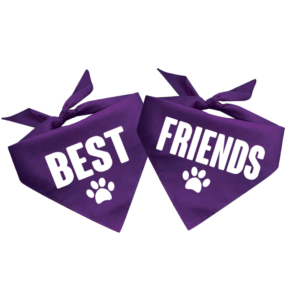 Best Friends Triangle Dog Bandana (2 Bandanas)