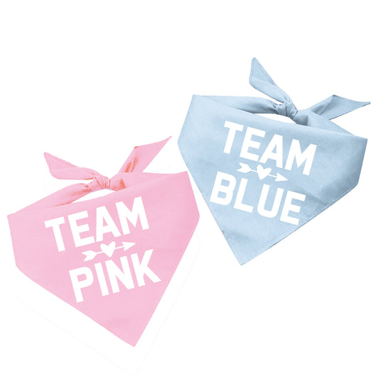 Team Pink Or Team Blue Triangle Dog Bandana (Sold Separately)