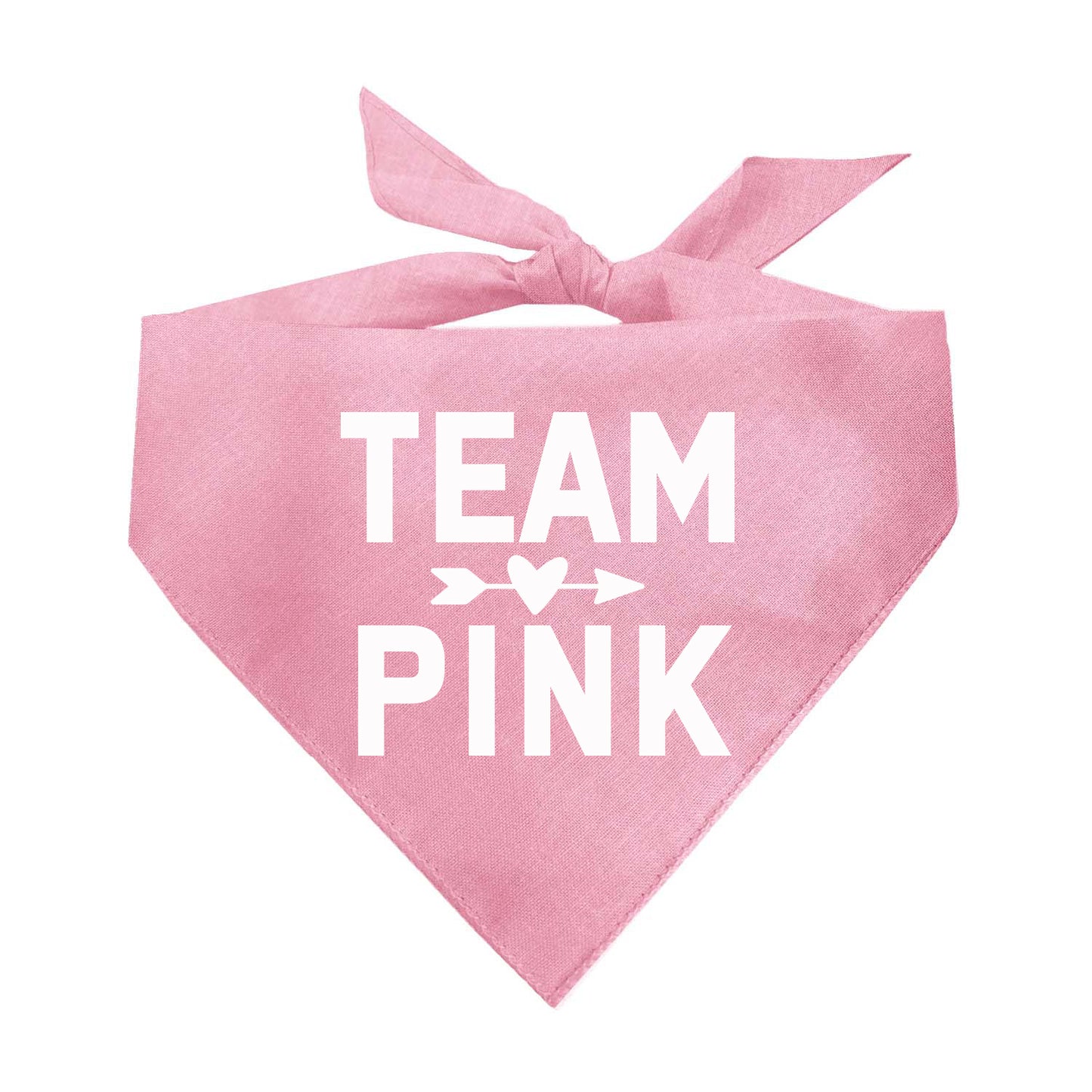 Team Pink Or Team Blue Triangle Dog Bandana (Sold Separately)