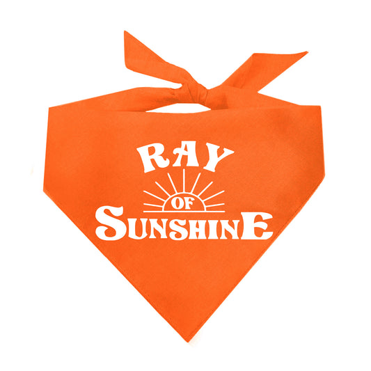 Ray Of Sunshine Triangle Dog Bandana