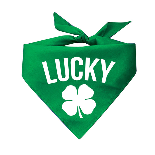 Lucky Triangle Dog Bandana