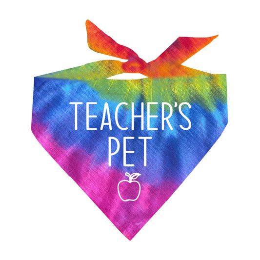 Teachers Pet Tie Dye Swirl Triangle Dog Bandana