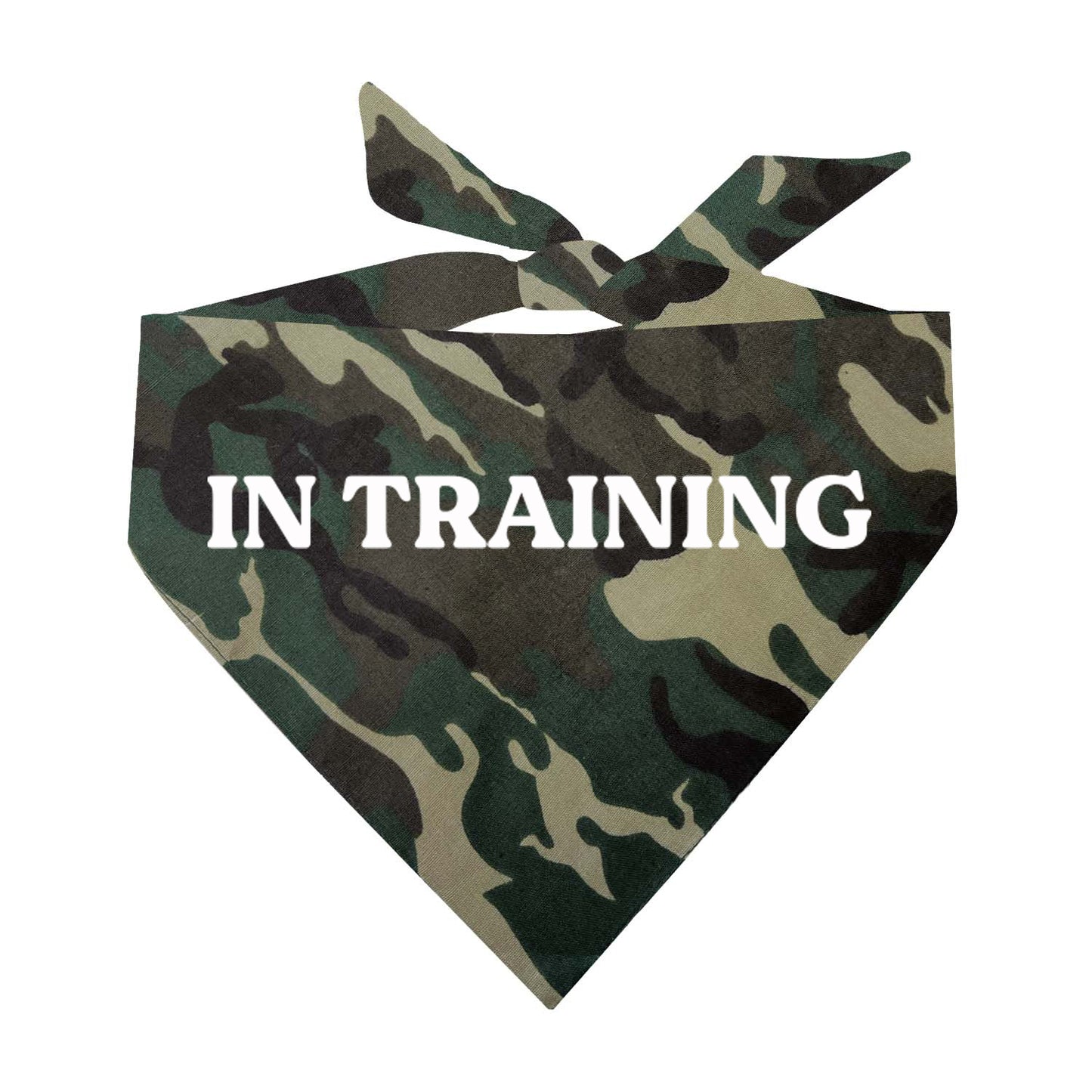 In Training Triangle Dog Bandana