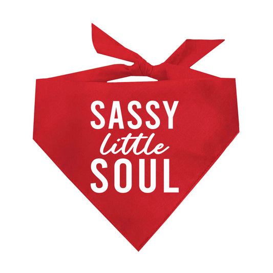 Sassy Little Soul Triangle Dog Bandana