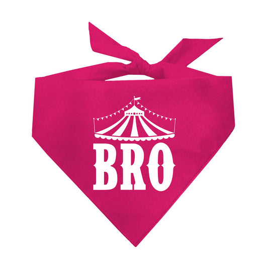 Bro Carnival Theme Triangle Dog Bandana