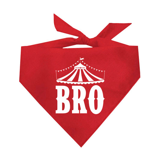 Bro Carnival Theme Triangle Dog Bandana