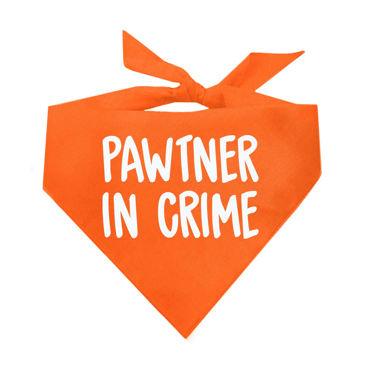 Pawtner In Crime Triangle Dog Bandana