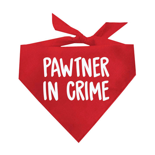 Pawtner In Crime Triangle Dog Bandana