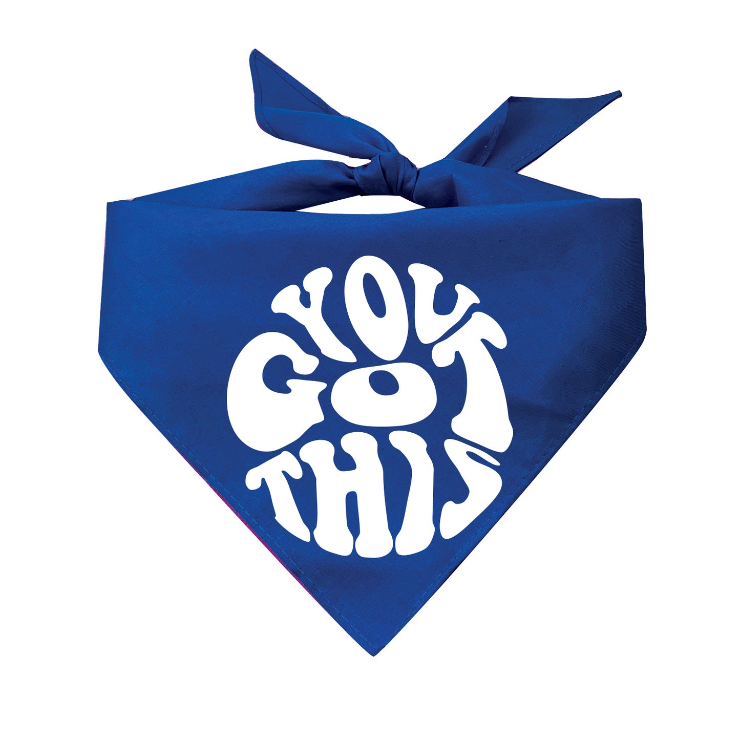 You Got This Triangle Dog Bandana