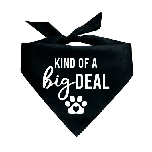 Kind Of A Big Deal Triangle Dog Bandana