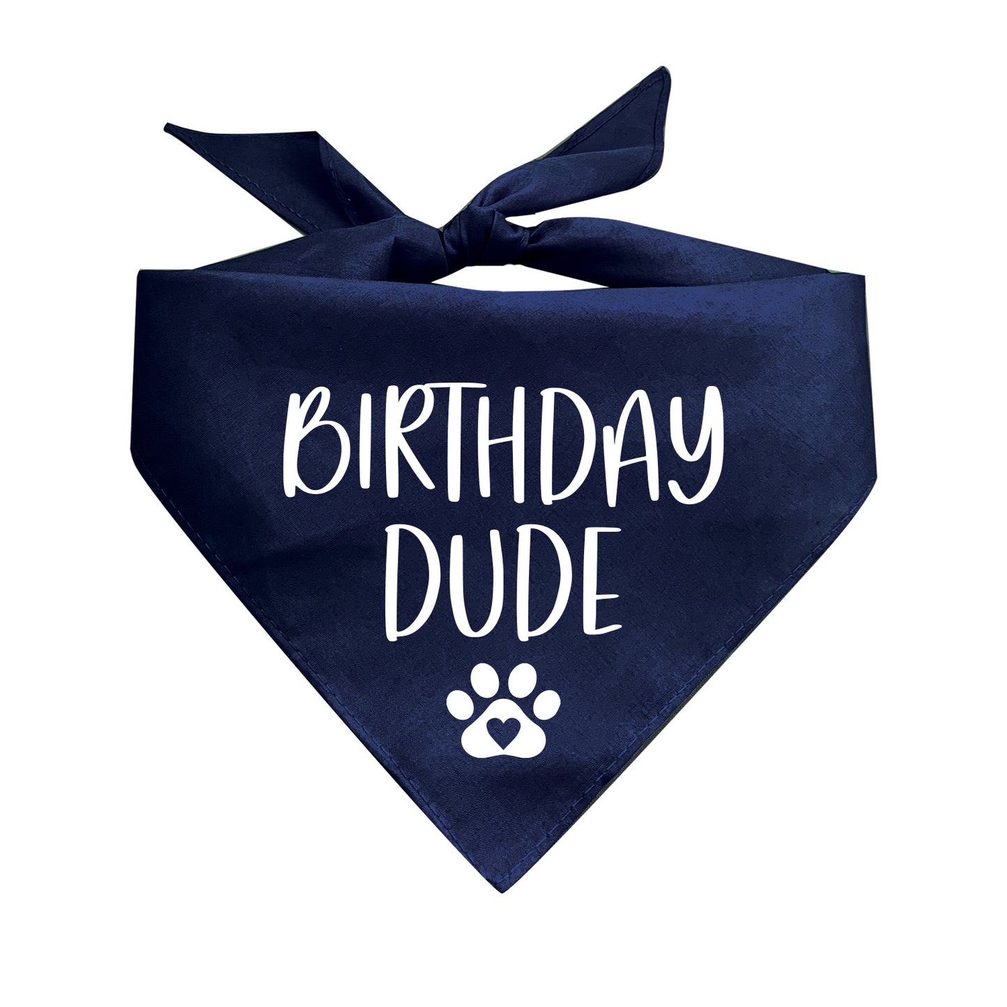Birthday Dude Triangle Dog Bandana