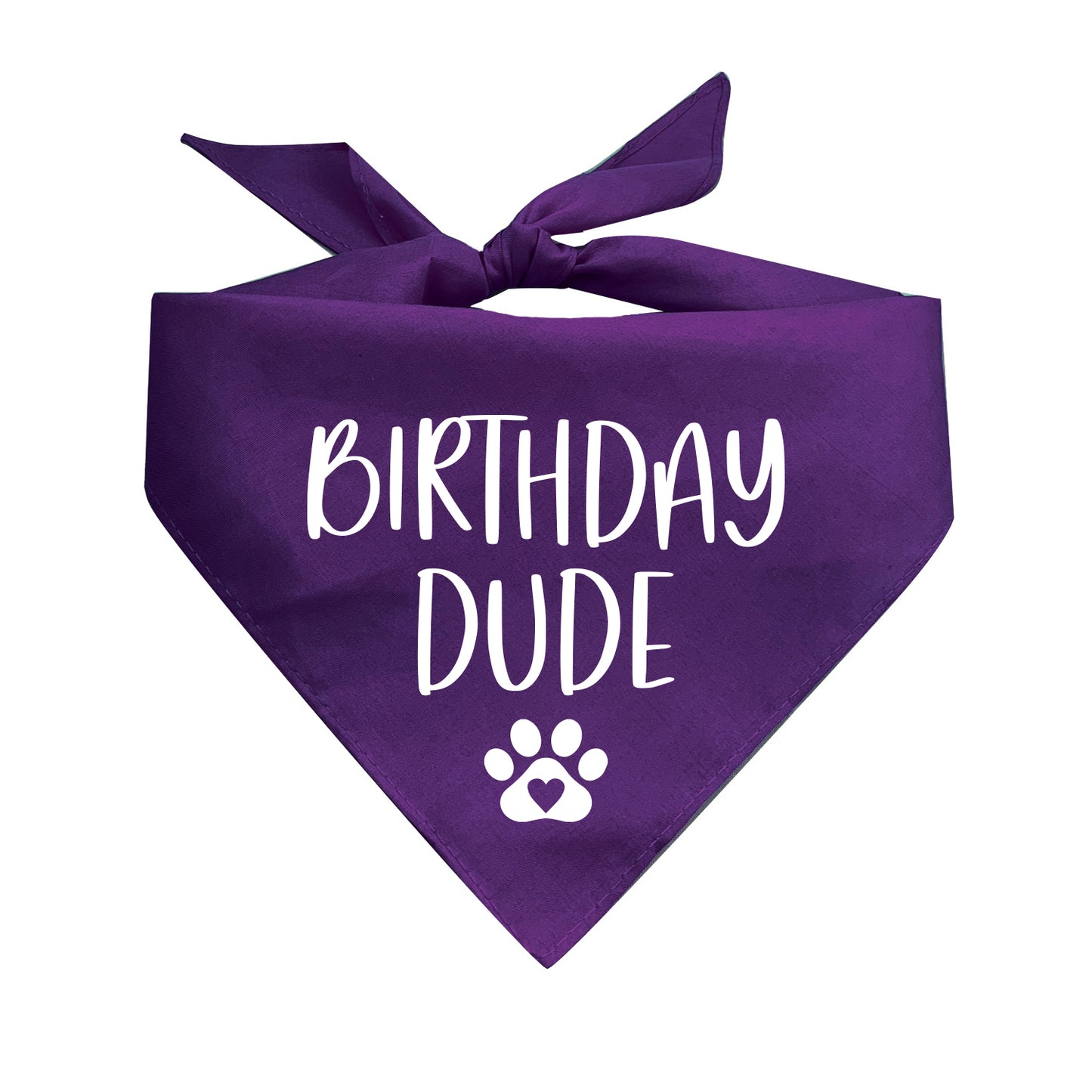Birthday Dude Triangle Dog Bandana