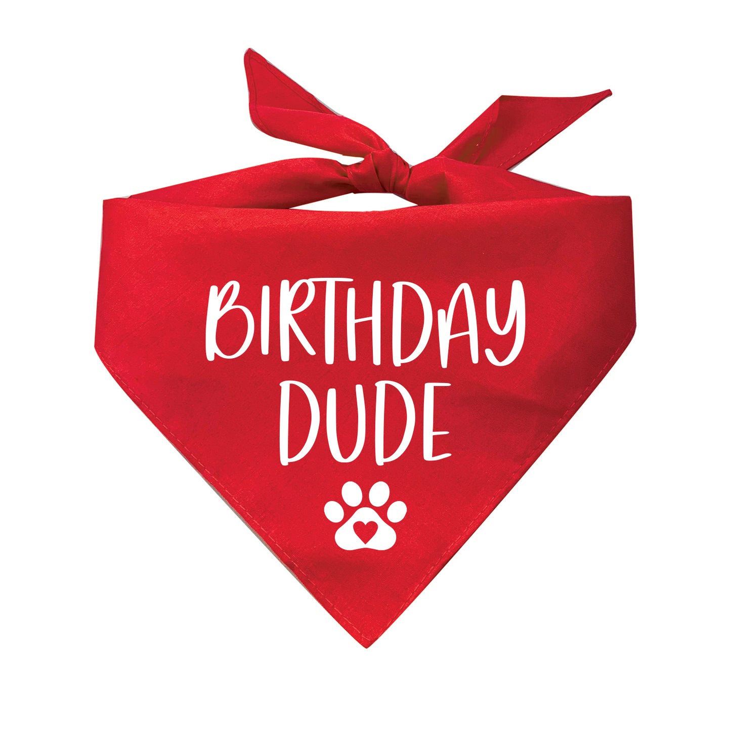 Birthday Dude Triangle Dog Bandana
