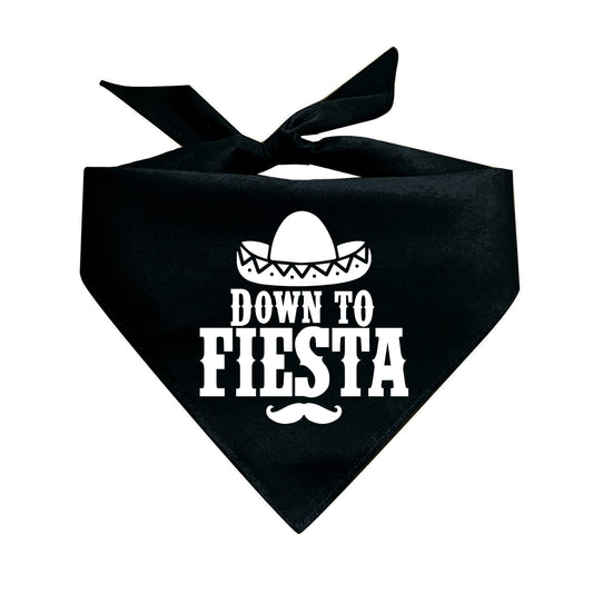 Down To Fiesta Triangle Dog Bandana