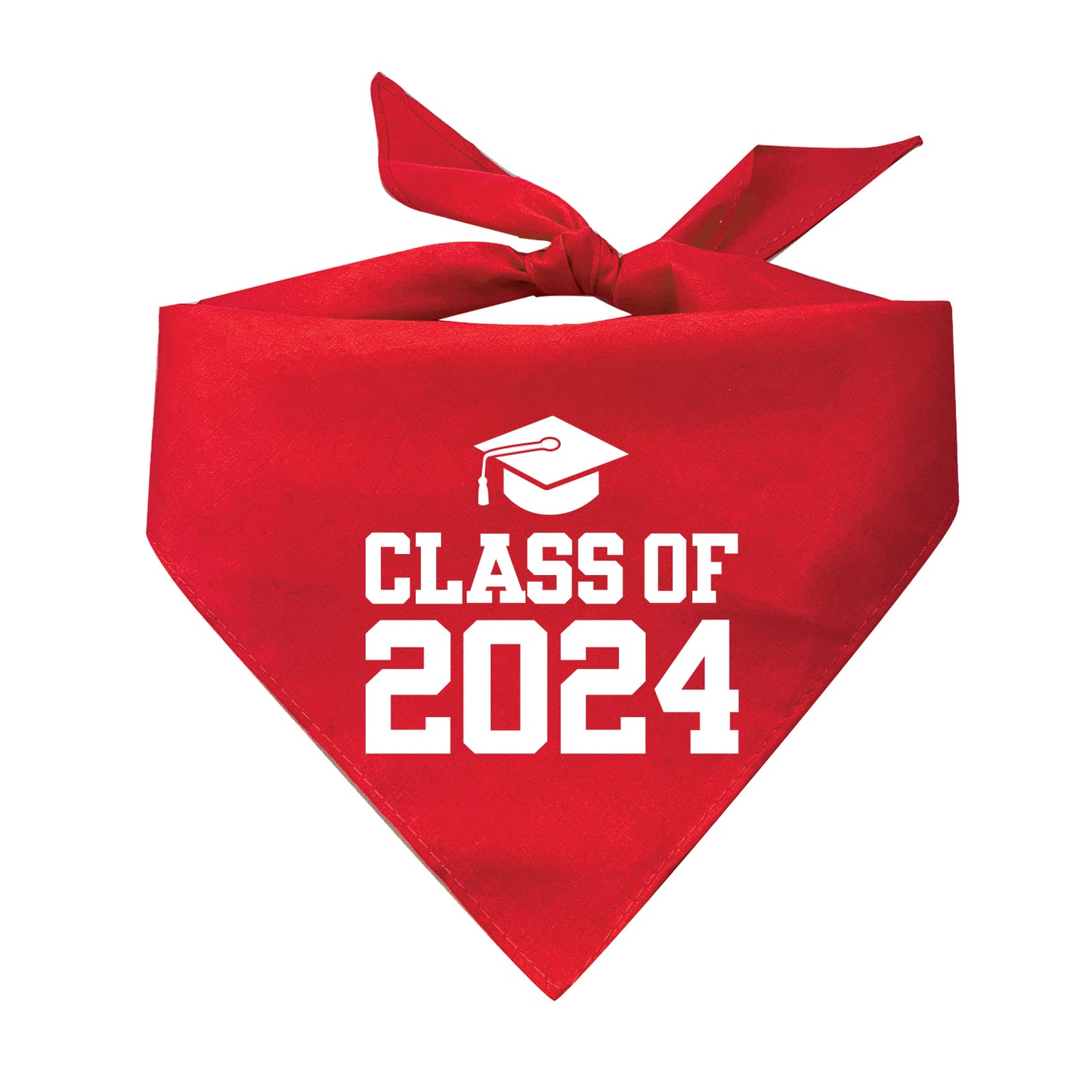 Class of 2024 Triangle Dog Bandana