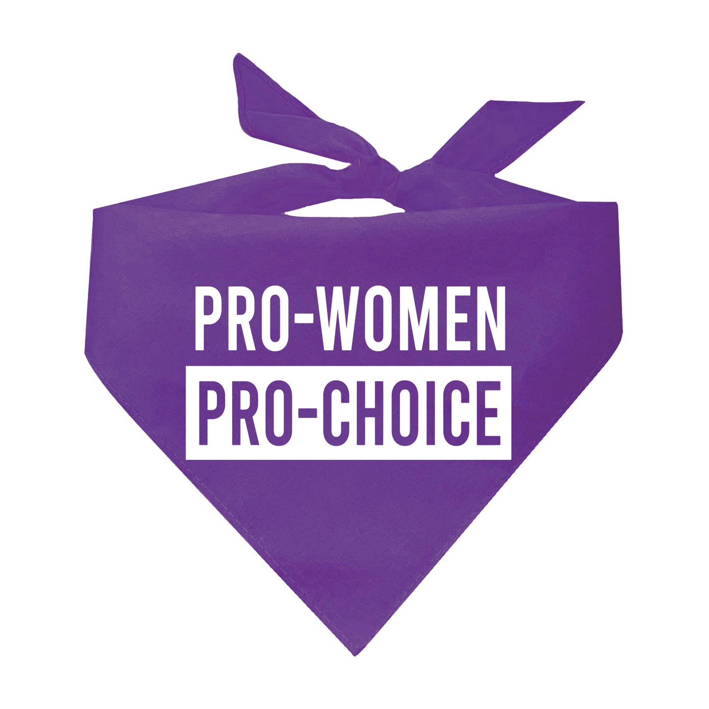 Pro-Women Pro-Choice Triangle Dog Bandana