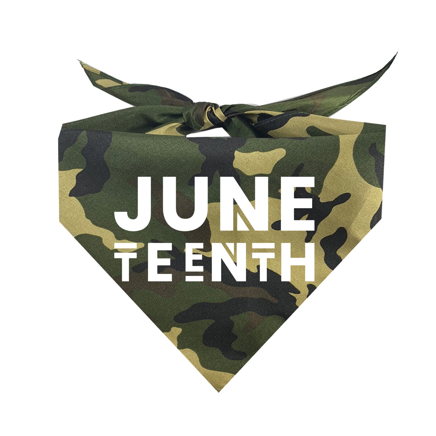 Juneteenth Black Lives Matter Protest Triangle Dog Bandana