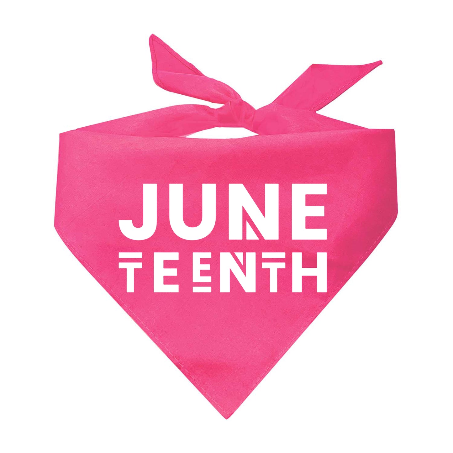 Juneteenth Black Lives Matter Protest Triangle Dog Bandana