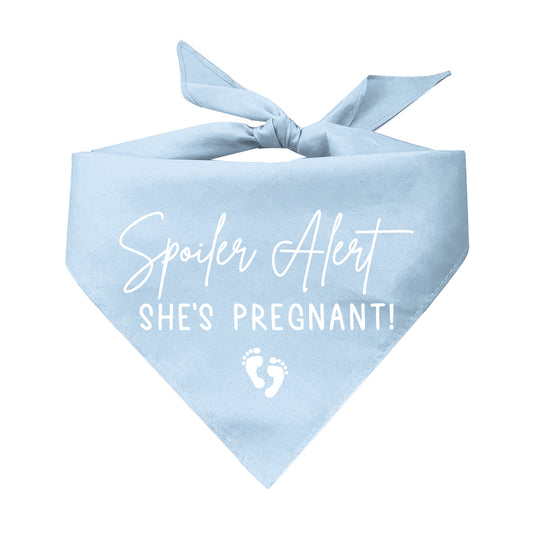 Spoiler Alert! She's Pregnant! Gender Reveal Announcement Triangle Dog Bandana