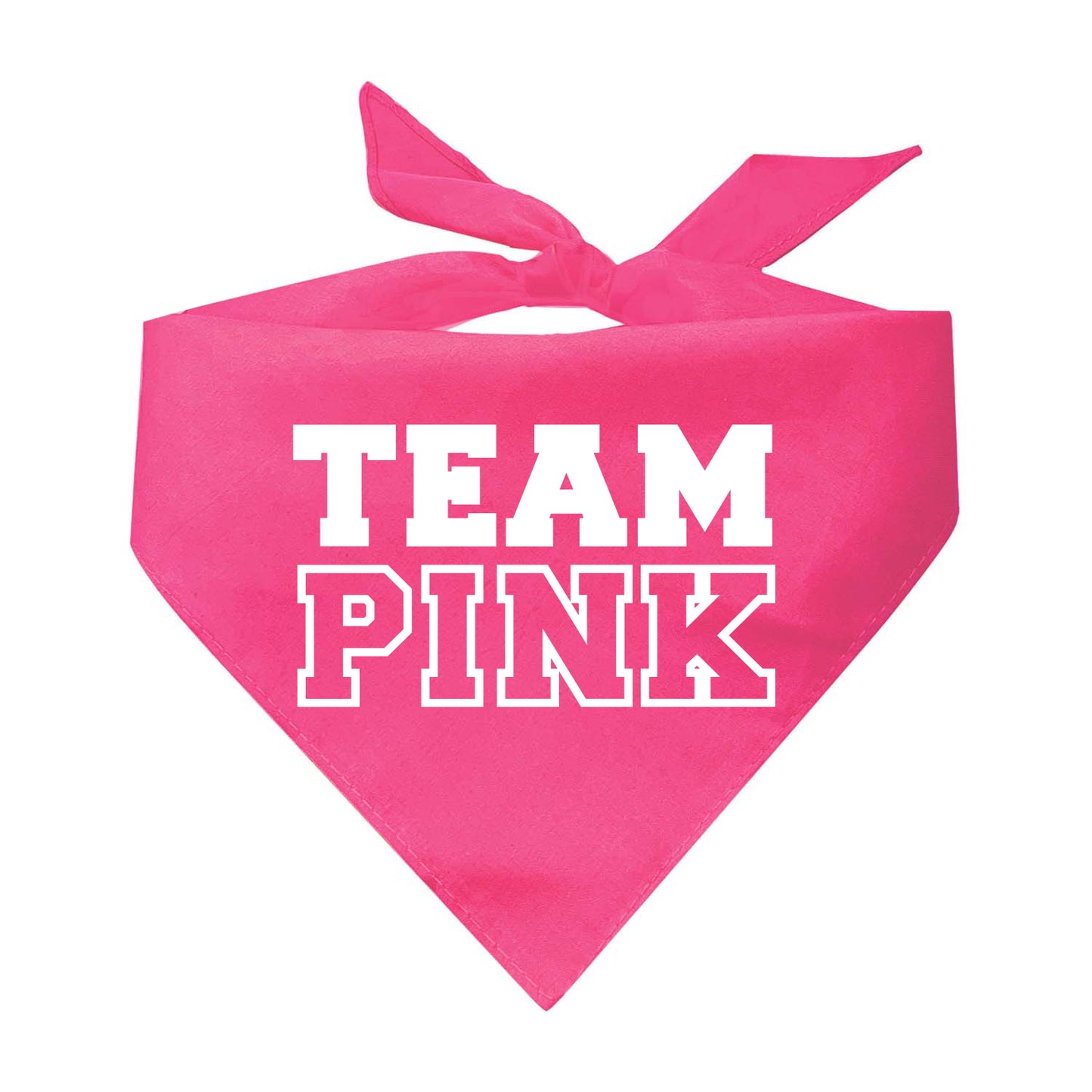Team Blue / Team Pink Bright Gender Reveal Triangle Dog Bandana (Sold Separately)
