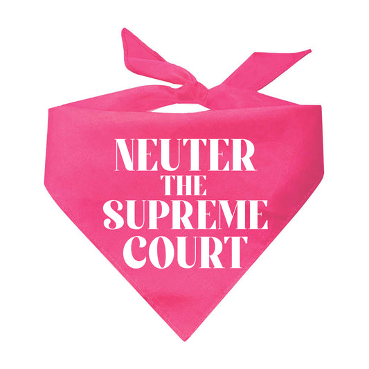Neuter The Supreme Court Pro Women Pro Choice Triangle Dog Bandana (Assorted Colors)