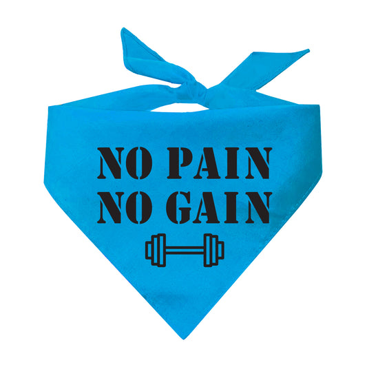 No Pain No Gain Training Buddy Triangle Dog Bandana