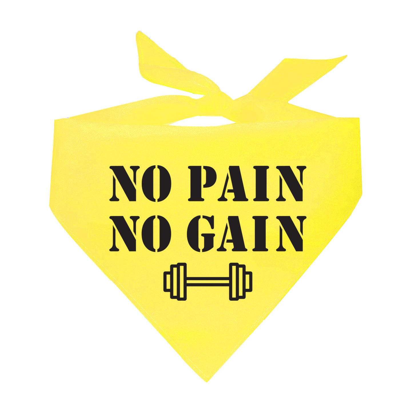 No Pain No Gain Training Buddy Triangle Dog Bandana