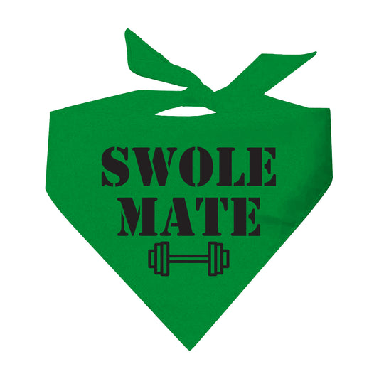 Swole Mate Training Buddy Triangle Dog Bandana