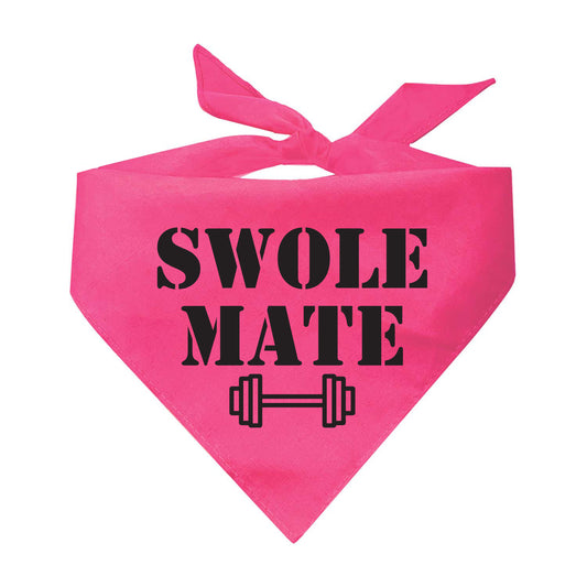 Swole Mate Training Buddy Triangle Dog Bandana