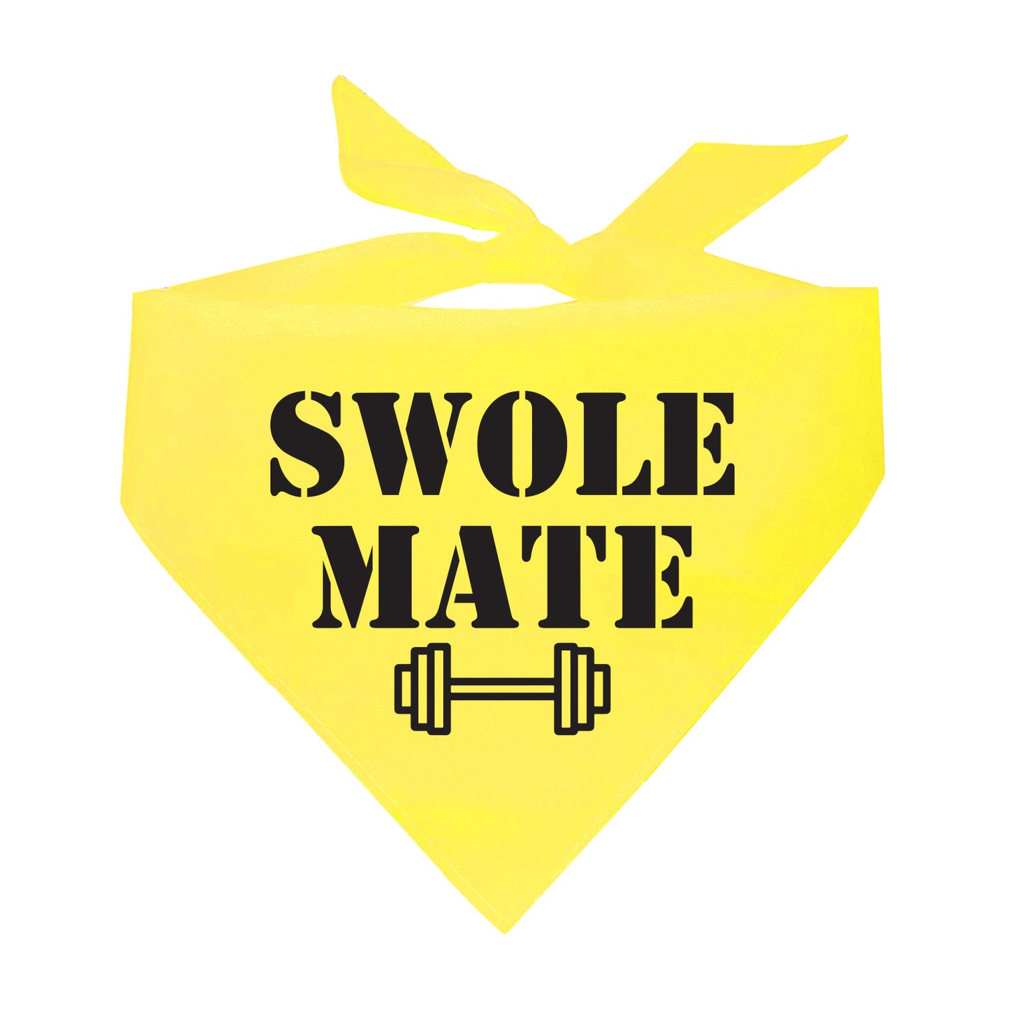 Swole Mate Training Buddy Triangle Dog Bandana