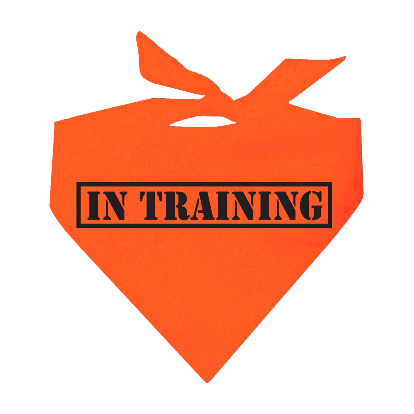 In Training Neon Triangle Dog Bandana