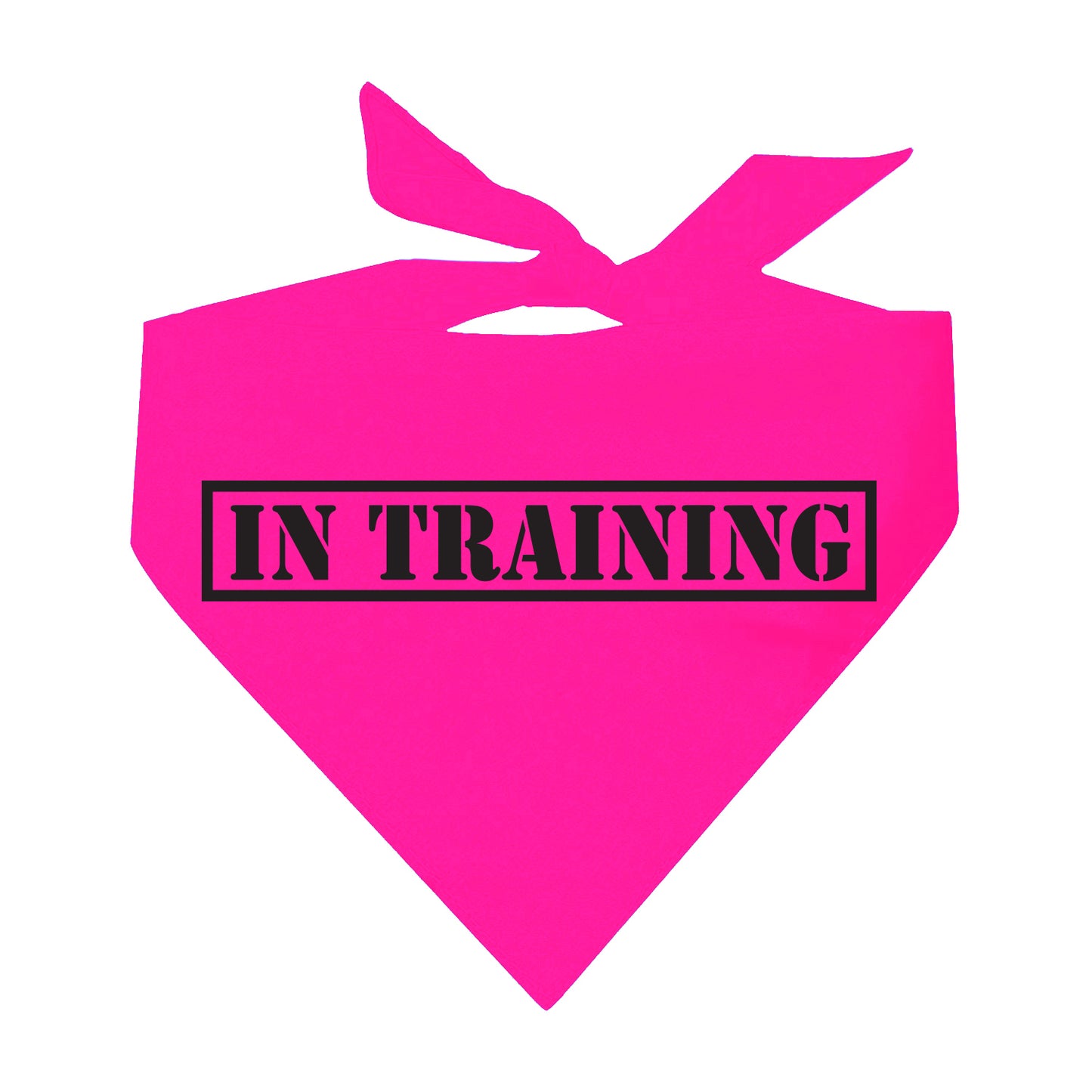 In Training Neon Triangle Dog Bandana