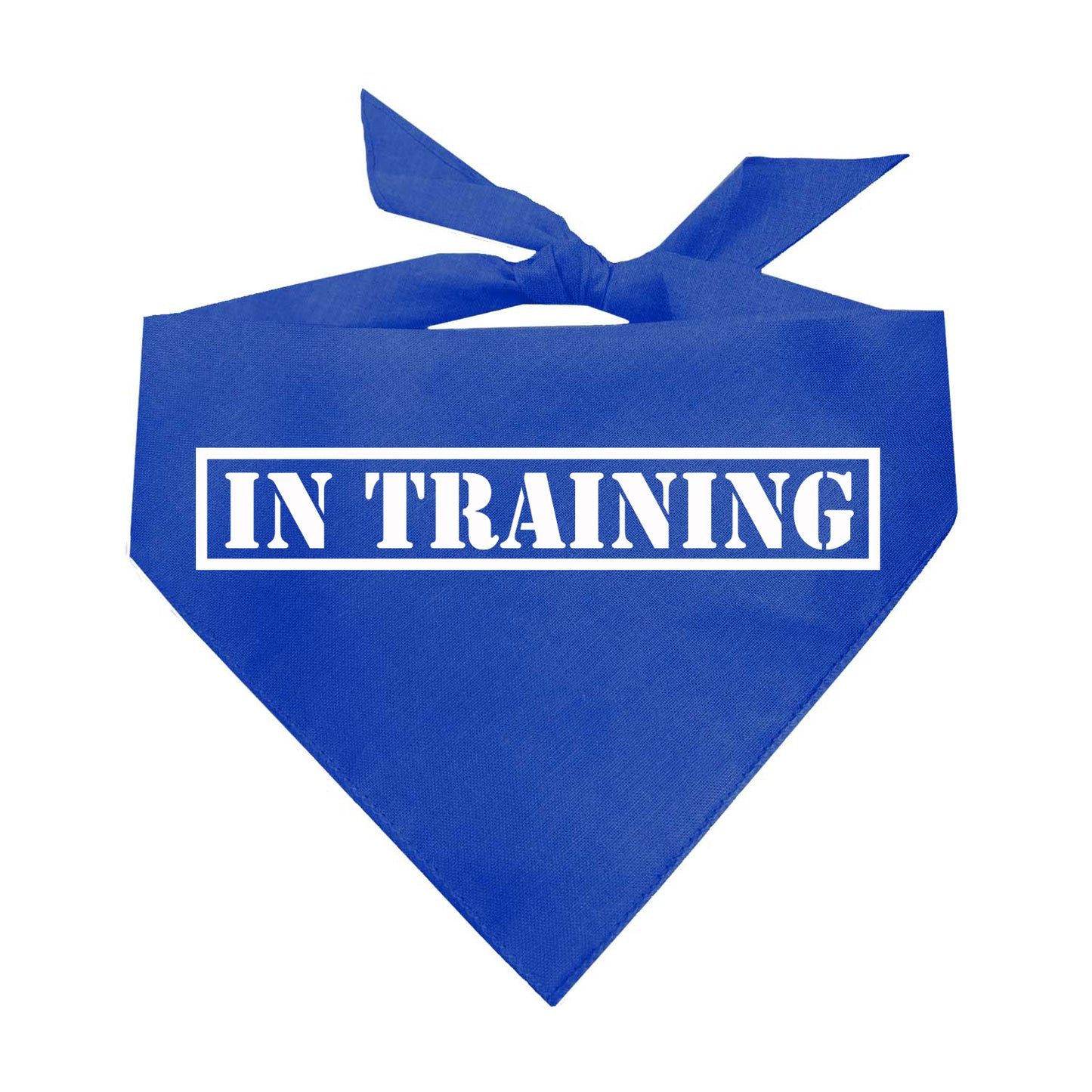 In Training Triangle Dog Bandana