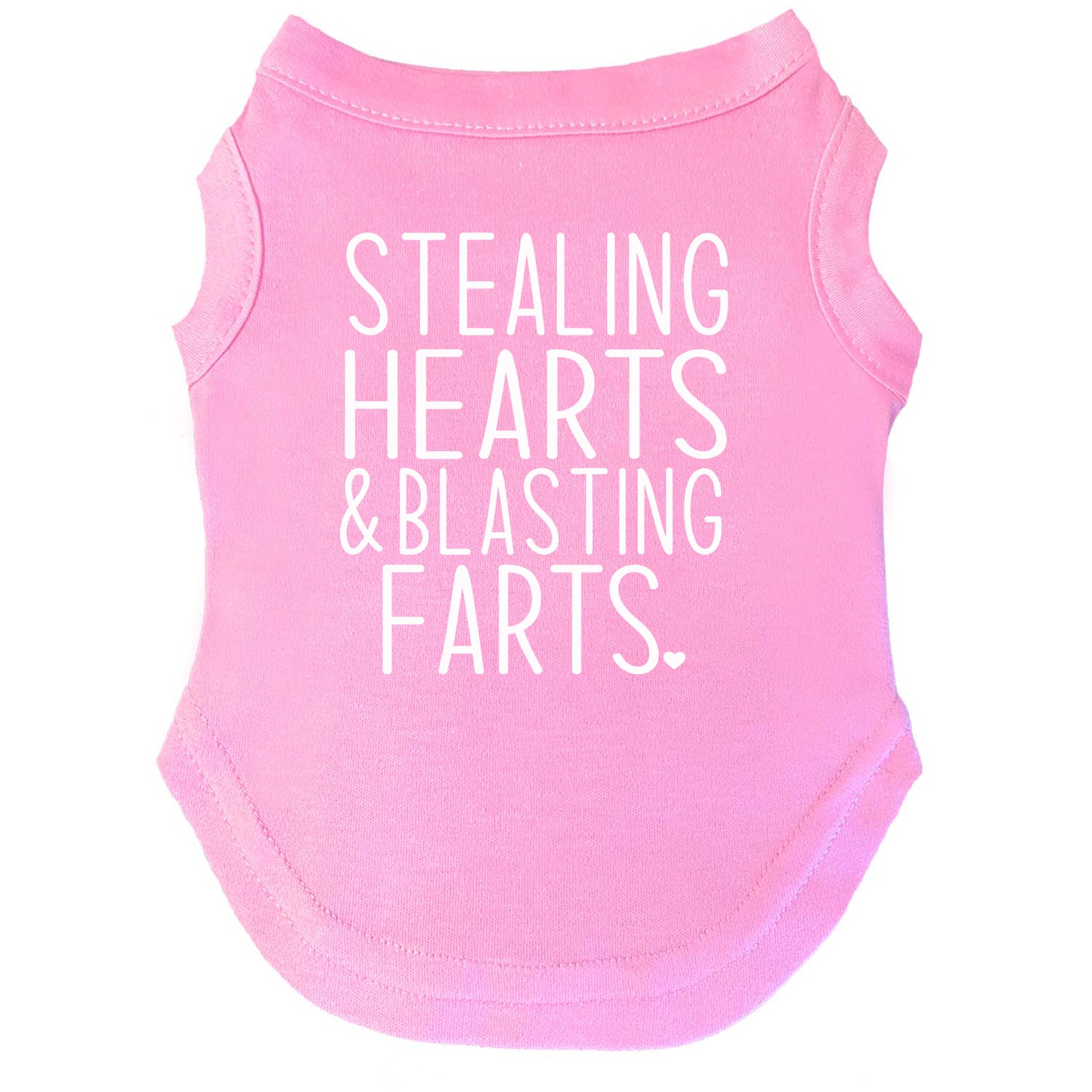 Stealing Hearts & Blasting Farts Valentine's Day Dog Tee