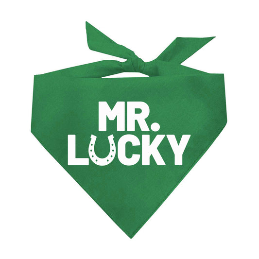 Mr. Lucky St.Patrick's Day Triangle Dog Bandana