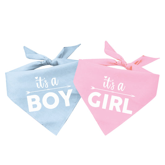 It's A Girl Gender Reveal Arrow Triangle Dog Bandana (Matching)