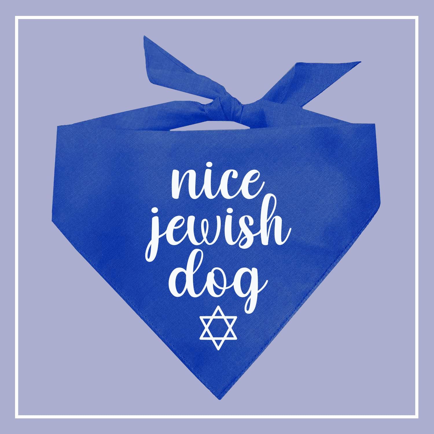 Hanukkah & Jewish Holidays