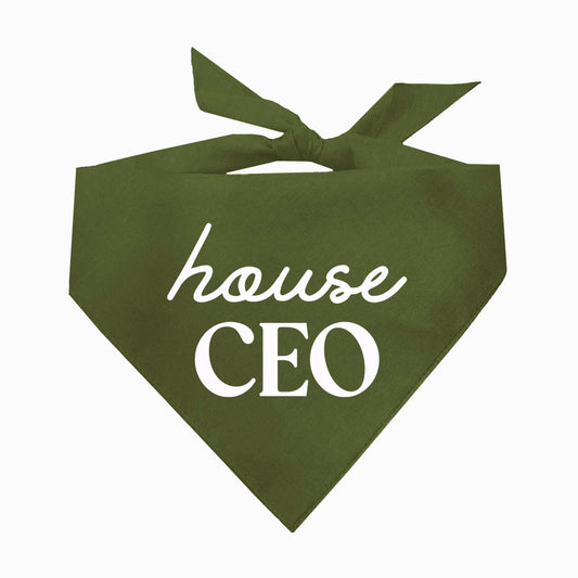 House CEO Triangle Dog Bandana (Assorted Earthy Colors)
