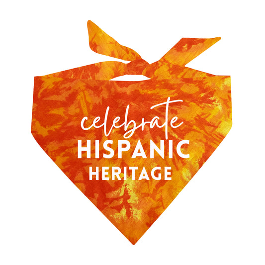 Celebrate Hispanic Heritage Tie Dye Pattern Dog Bandana
