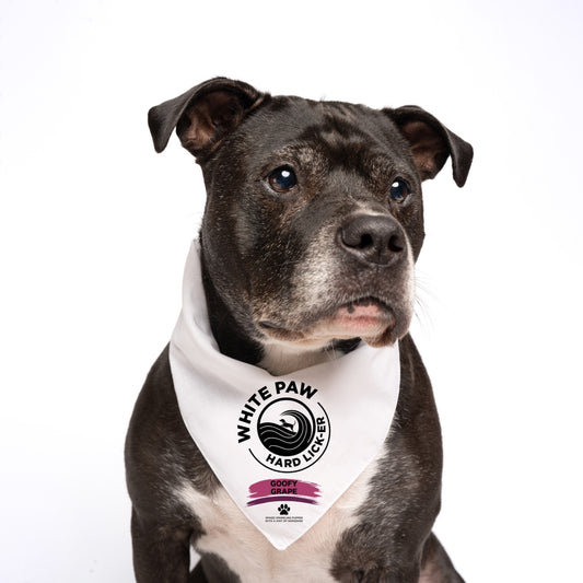 White Paw Dog Bandana | 100% Natural Cotton Triangle | Made in USA | Hard Seltzer Spoof Costume for Dogs | Funny Pet Outfit for Parties & Photos