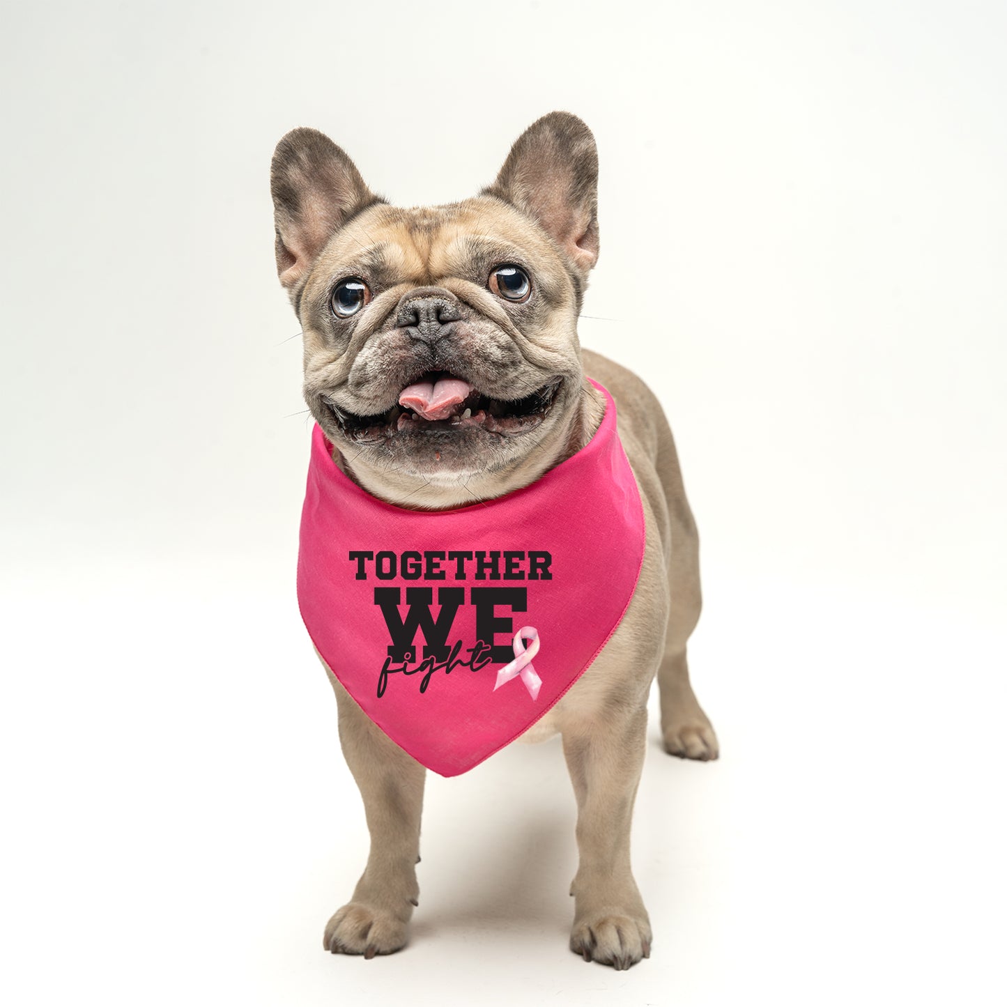 Together We Fight Dog Bandana | 100% Natural Cotton Triangle | Made in USA | Awareness & Support Pet Accessory