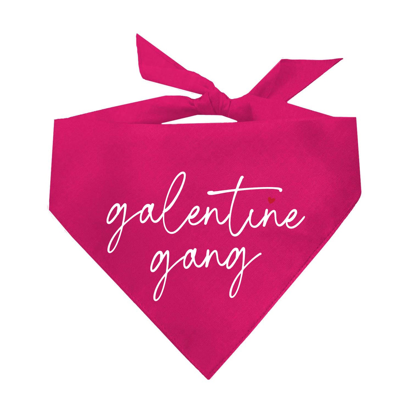 Galentine Gang Dog Bandana | 100% Natural Cotton Triangle | Made in USA | Valentine’s Day Pet Outfit | Puppy Friendship Accessory
