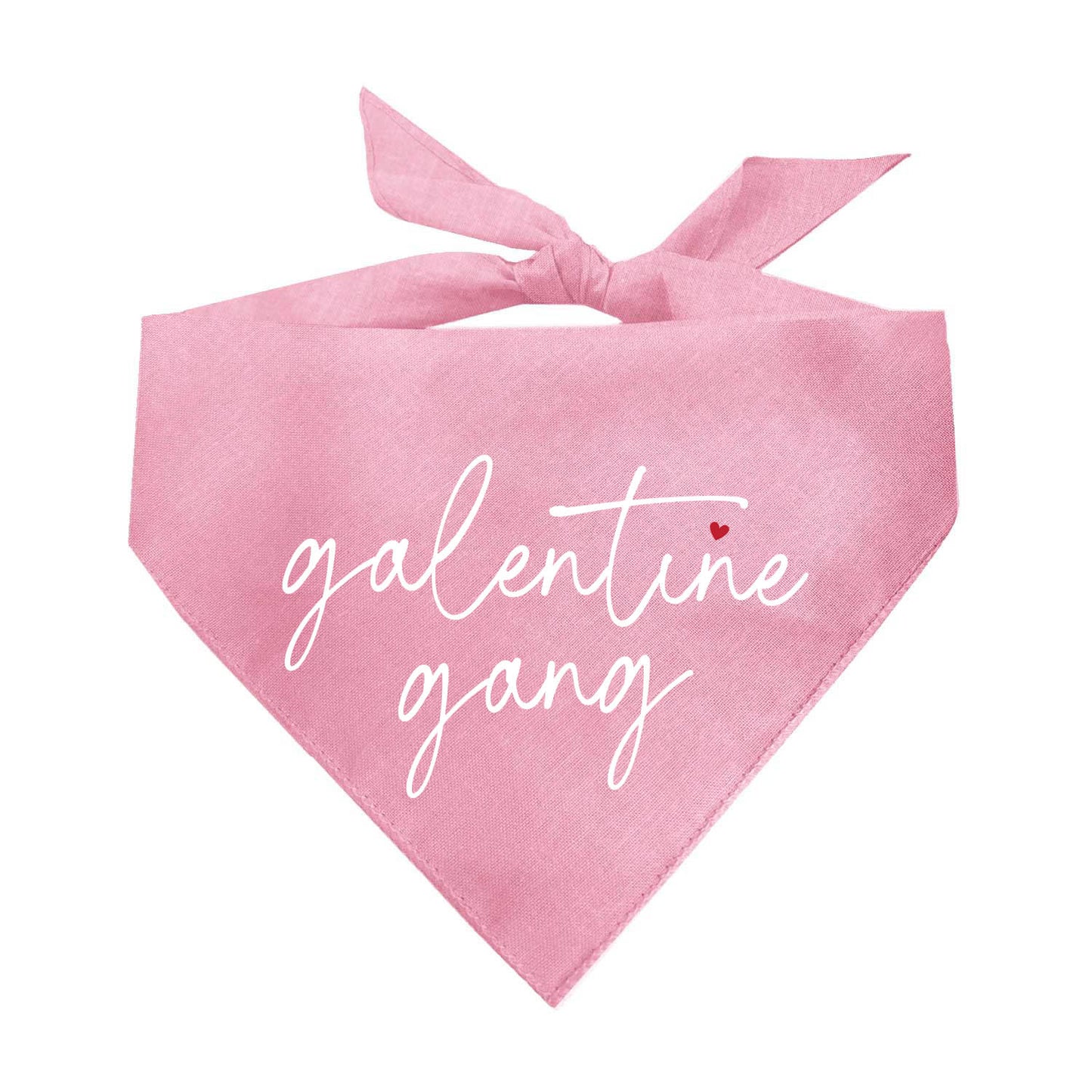 Galentine Gang Dog Bandana | 100% Natural Cotton Triangle | Made in USA | Valentine’s Day Pet Outfit | Puppy Friendship Accessory