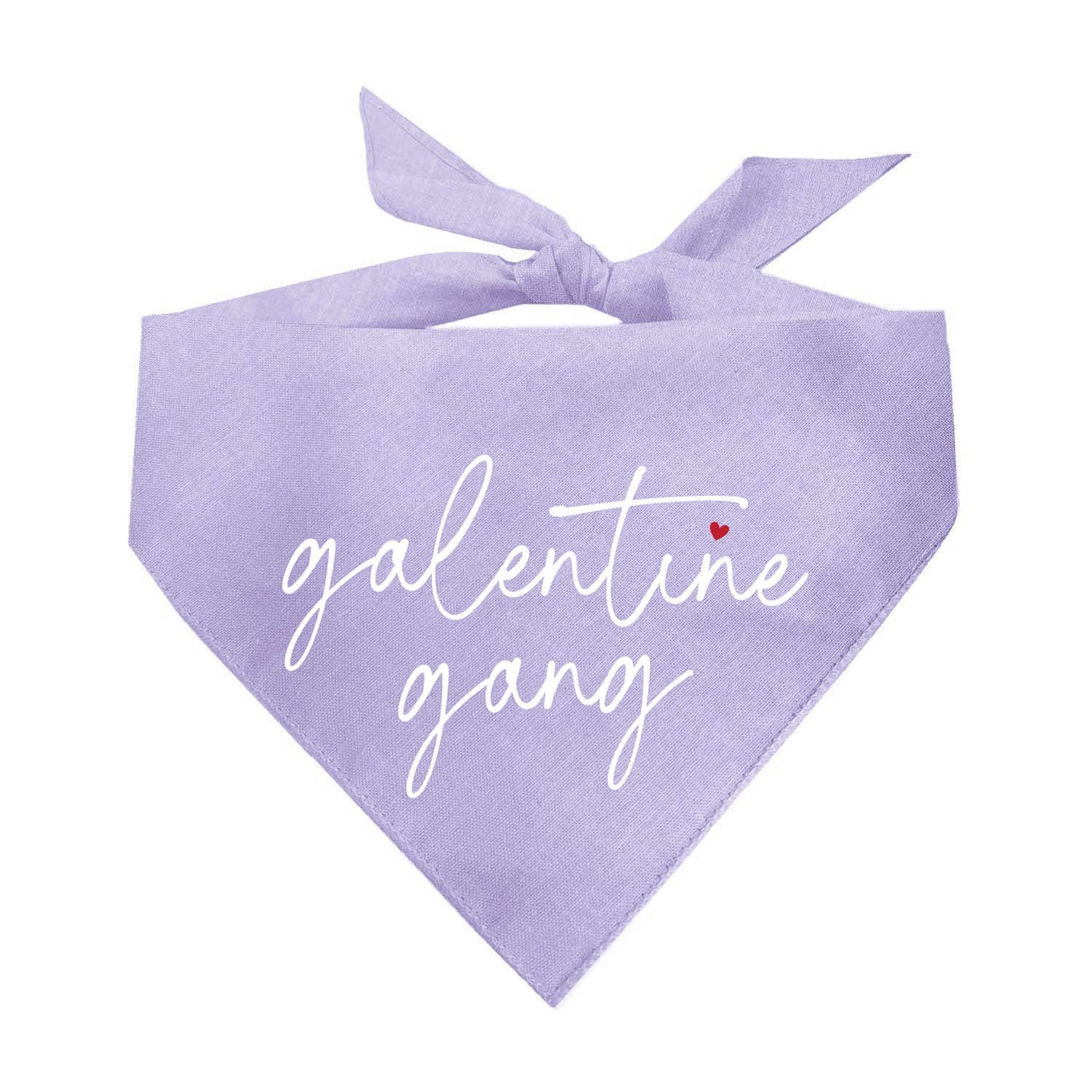 Galentine Gang Dog Bandana | 100% Natural Cotton Triangle | Made in USA | Valentine’s Day Pet Outfit | Puppy Friendship Accessory