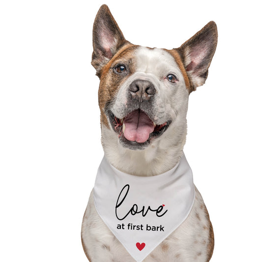 Love at First Bark Dog Bandana | 100% Natural Cotton Triangle | Made in USA | Valentine’s Day Pet Outfit | Puppy Love Accessory